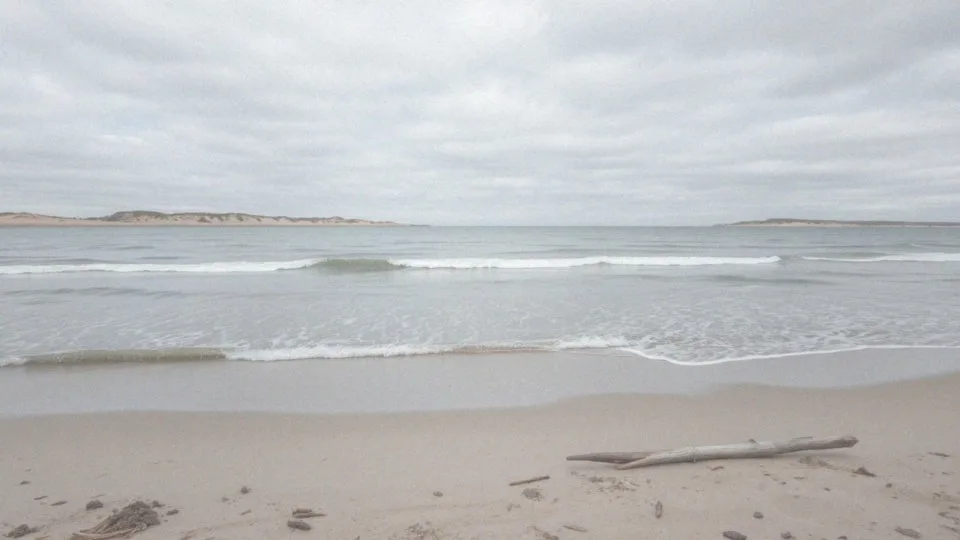 Jakie są podstawowe cechy oceanów?