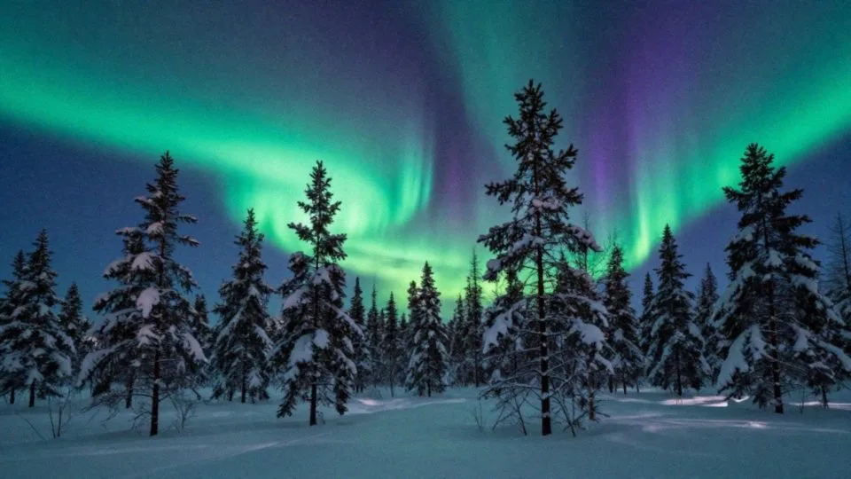 Kiedy i gdzie oglądać zorzę polarną w Rovaniemi?