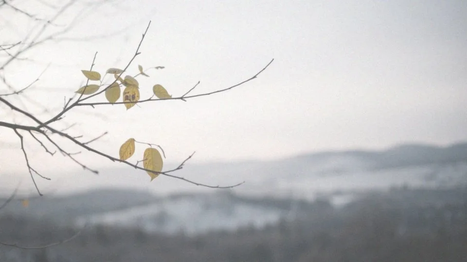 Jaki znak zodiaku jest w grudniu? Sprawdź Strzelca i Koziorożca