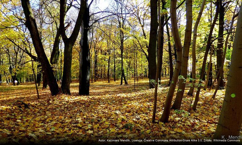 Park Tiele-Wincklerów w Bytomiu