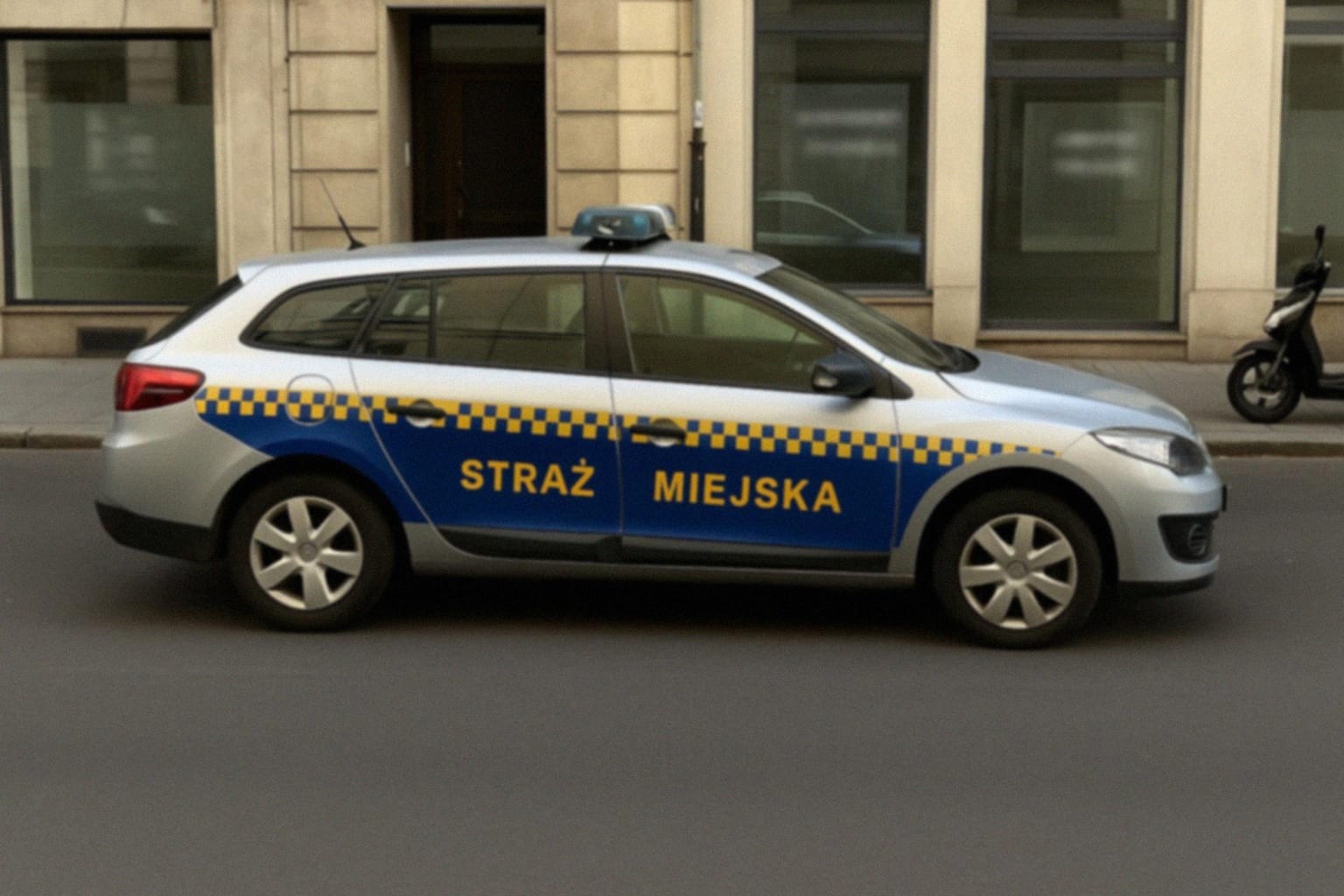 Bezpieczeństwo mieszkańców osiedli w Bytomiu w obliczu dzikich zwierząt