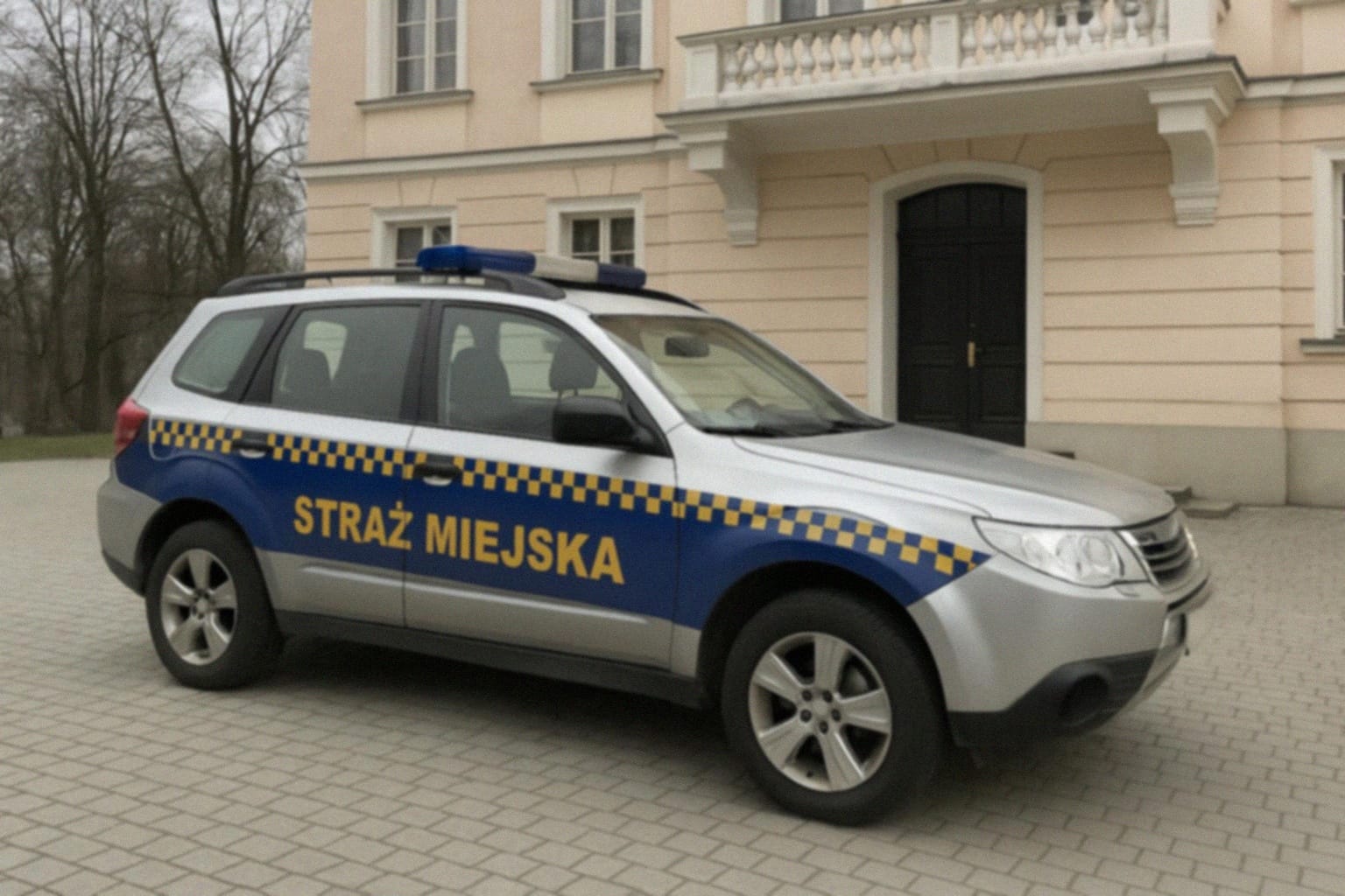Niewybuchy z czasów wojny znalezione w miechowickim lesie