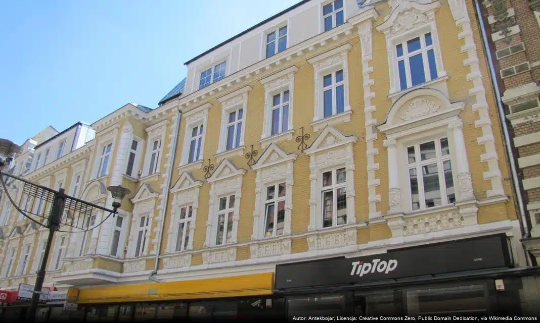 Psy ze schroniska ponownie na spacerach z mieszkańcami Bytomia