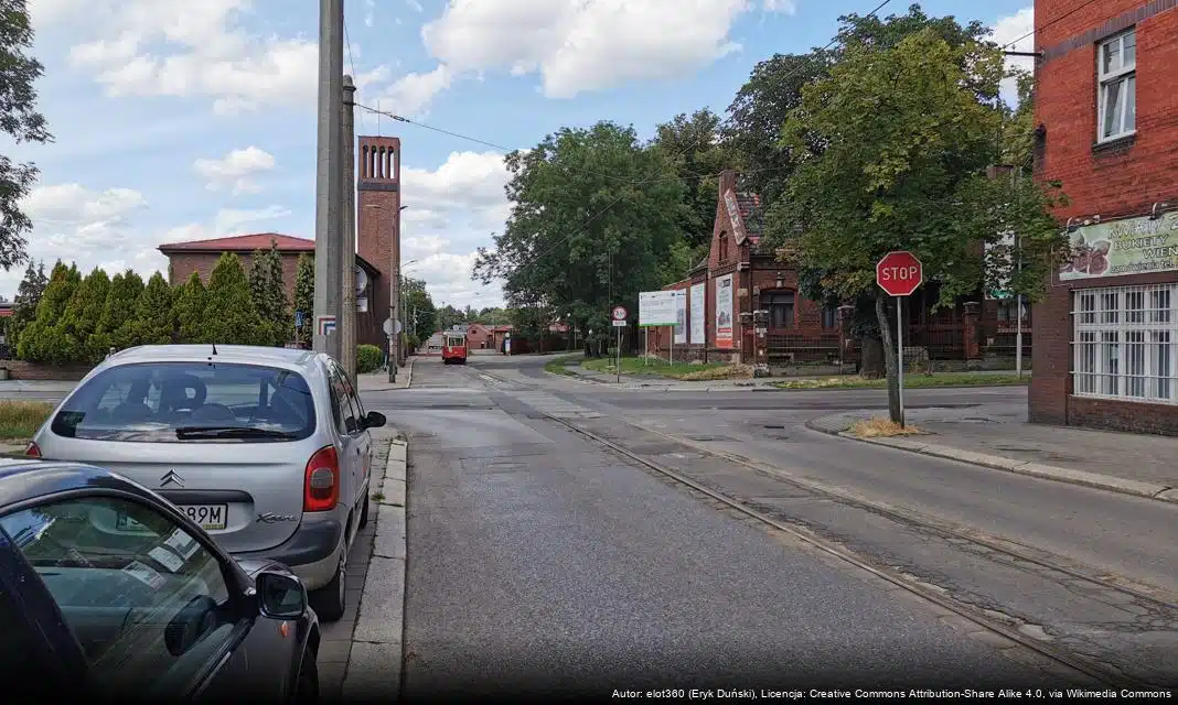 III Międzynarodowy Dzień Wymiany Owadów w Muzeum Górnośląskim