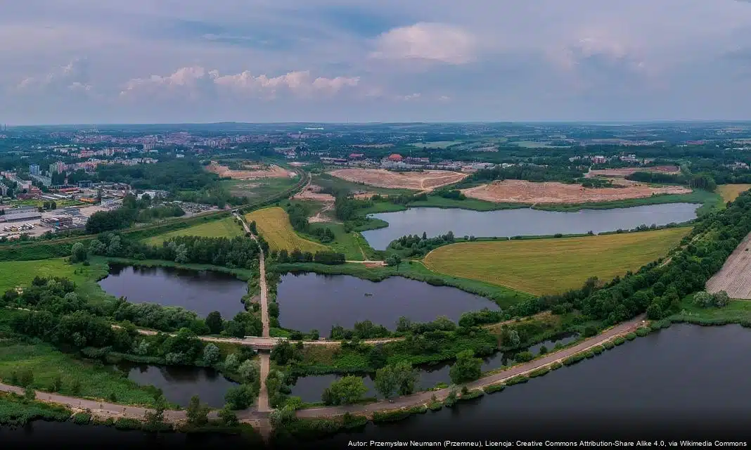 Naj Naj Festiwal w Bytomiu – Rozwój i zabawa dla najmłodszych