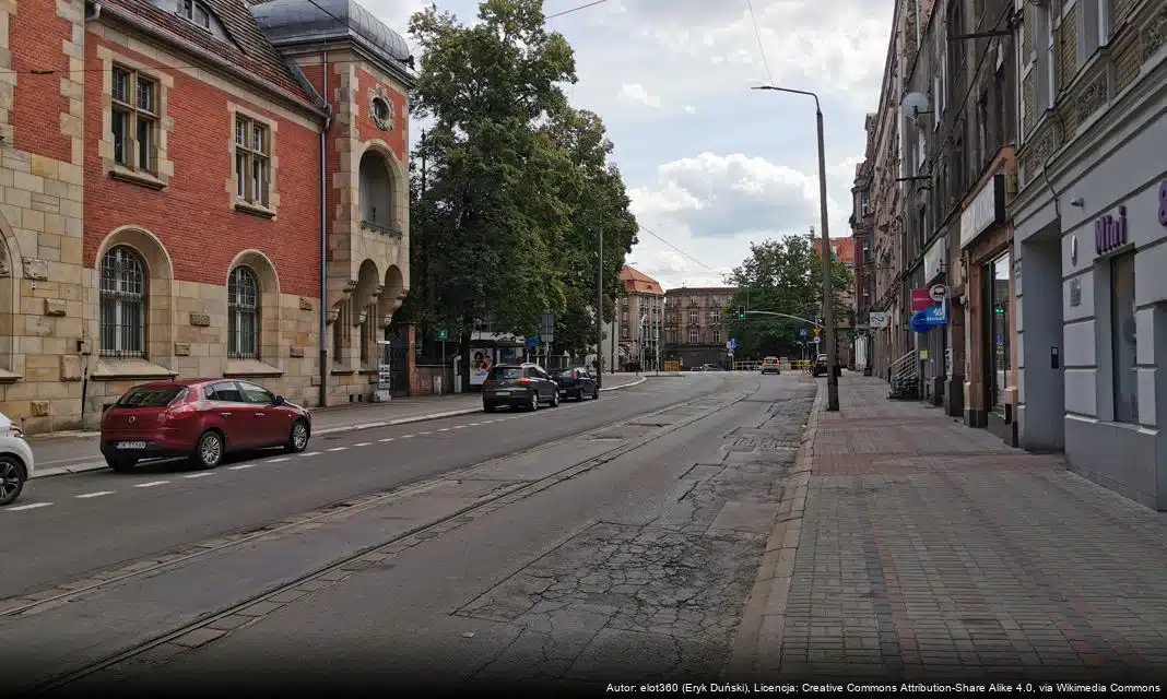 Wolontariusze podnoszą swoje kwalifikacje w bytomskim schronisku