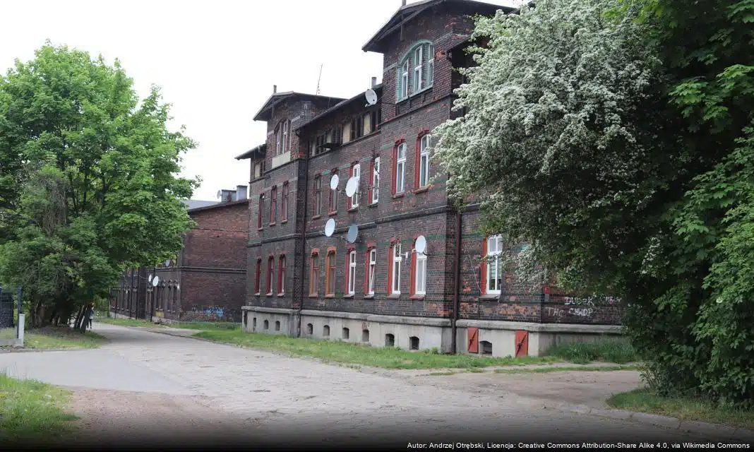 Sukcesy i rozczarowania drużyn Polonii Bytom w weekendowych meczach