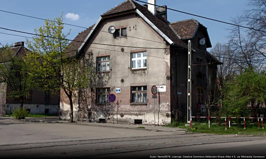 Otwarty trening w Akademii Polonii Bytom dla młodych koszykarzy