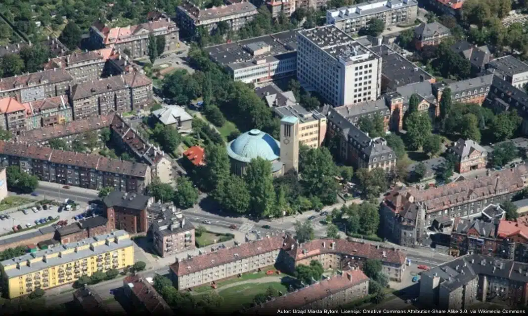 Nowy sprzęt dla bytomskiego schroniska dla bezdomnych zwierząt