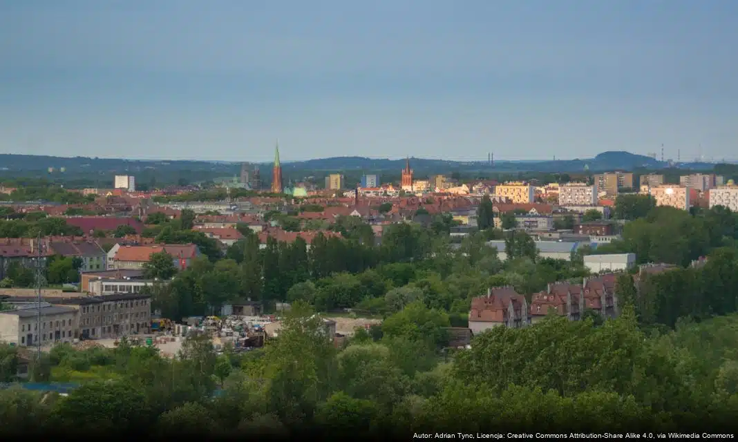 Utrudnienia na ul. Reptowskiej w związku z wycinką drzewa