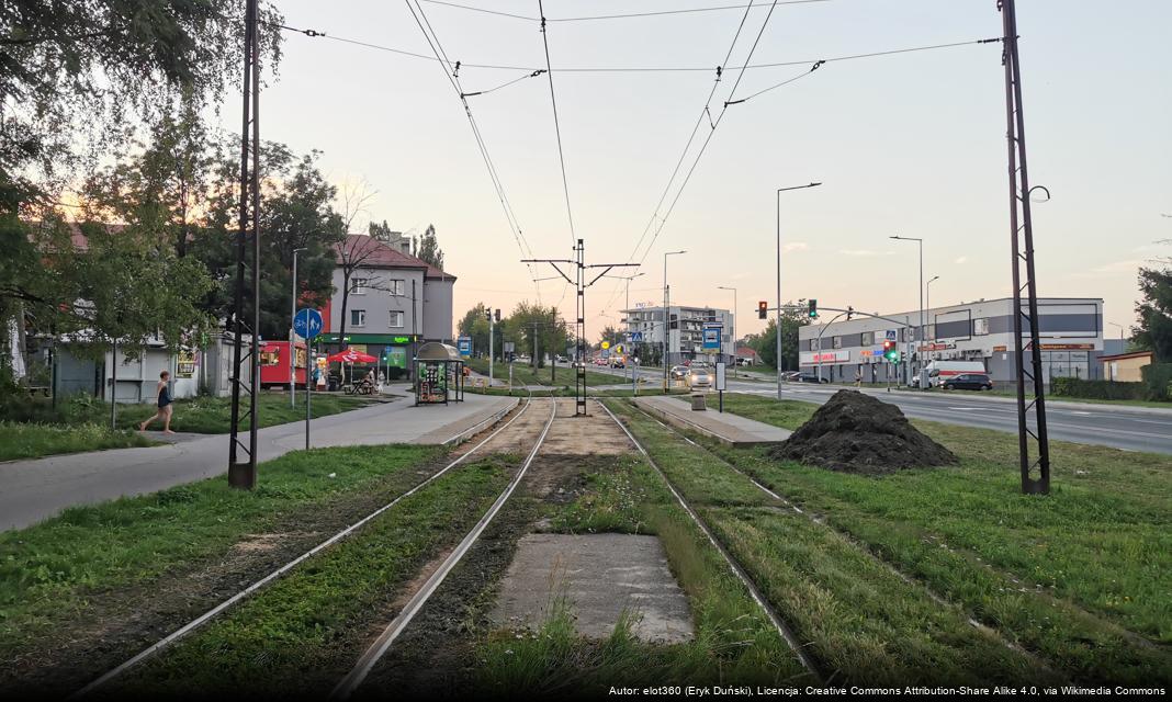 Ostrzeżenie o gołoledzi w Bytomiu na 10 grudnia