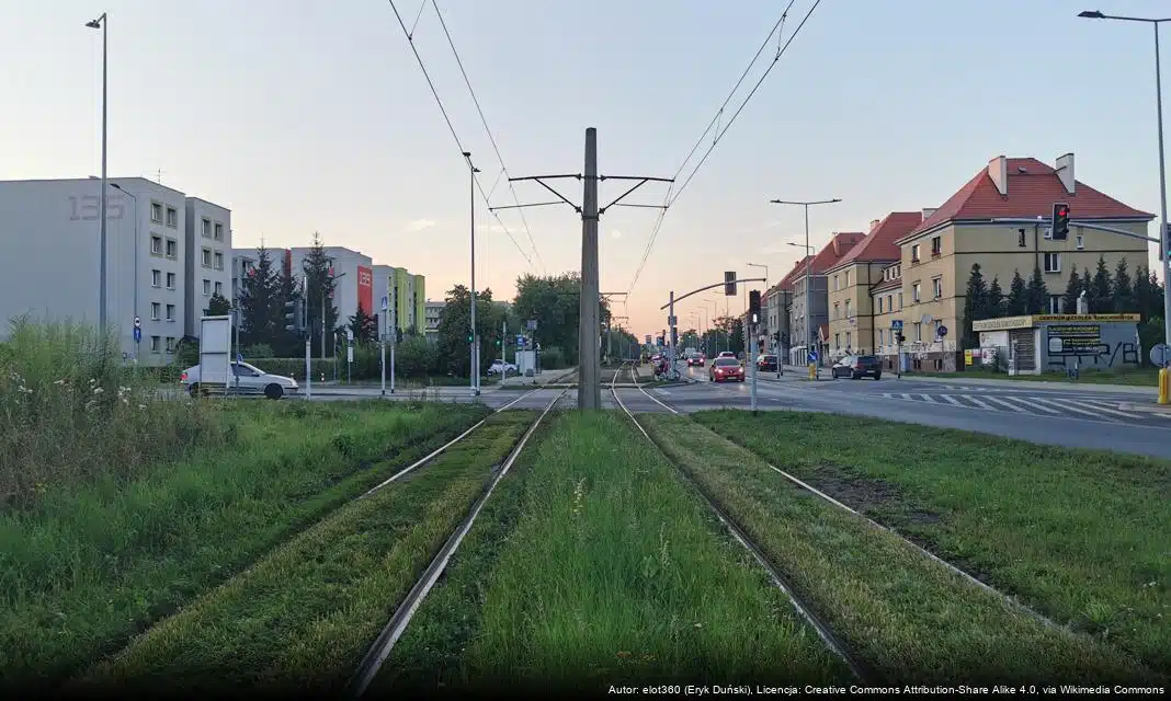Uszkodzenia chodników w Bytomiu z powodu zmiennych warunków atmosferycznych
