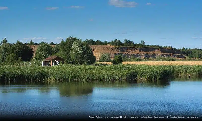 Zespół przyrodniczo-krajobrazowy „Żabie Doły”